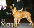 Click here for Rose's page